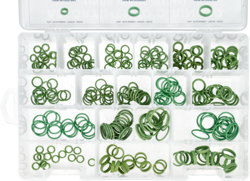 ASSORTIMENTO ANELLI O.RING  VERDI 270 PZ.